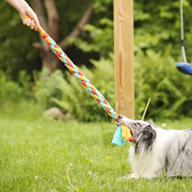 Hundespielzeug Selber Machen Zergel DIY Kullaloo