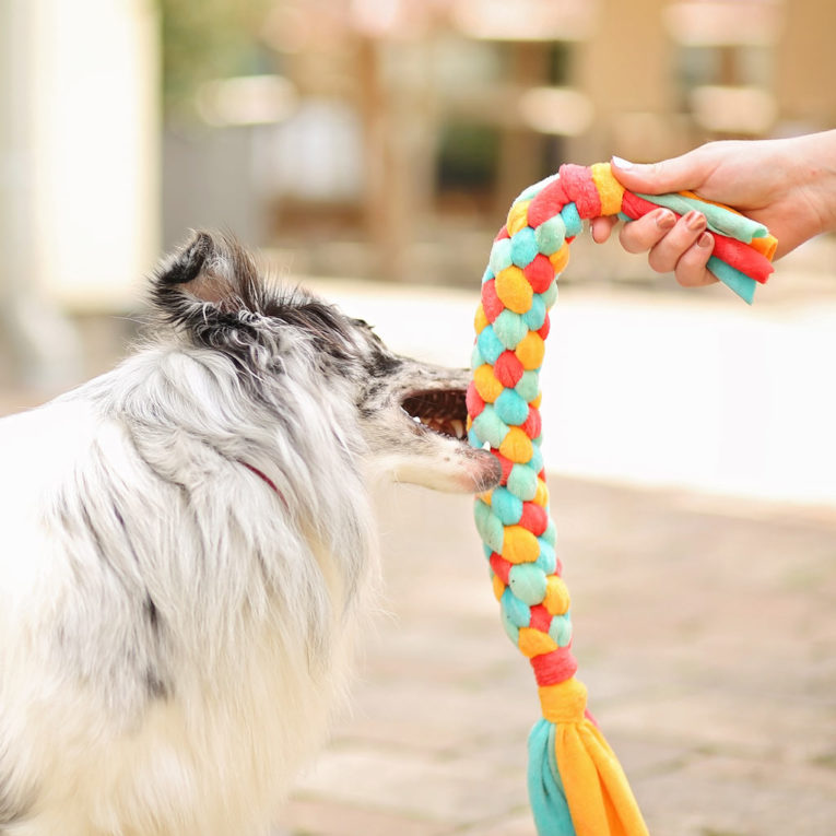 Erstaunlich Hundespielzeug Selber Basteln Fotos