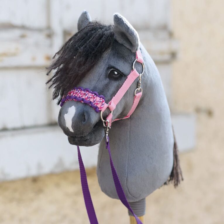 DIY Hobby Horse Zügel aus Gurtband basteln